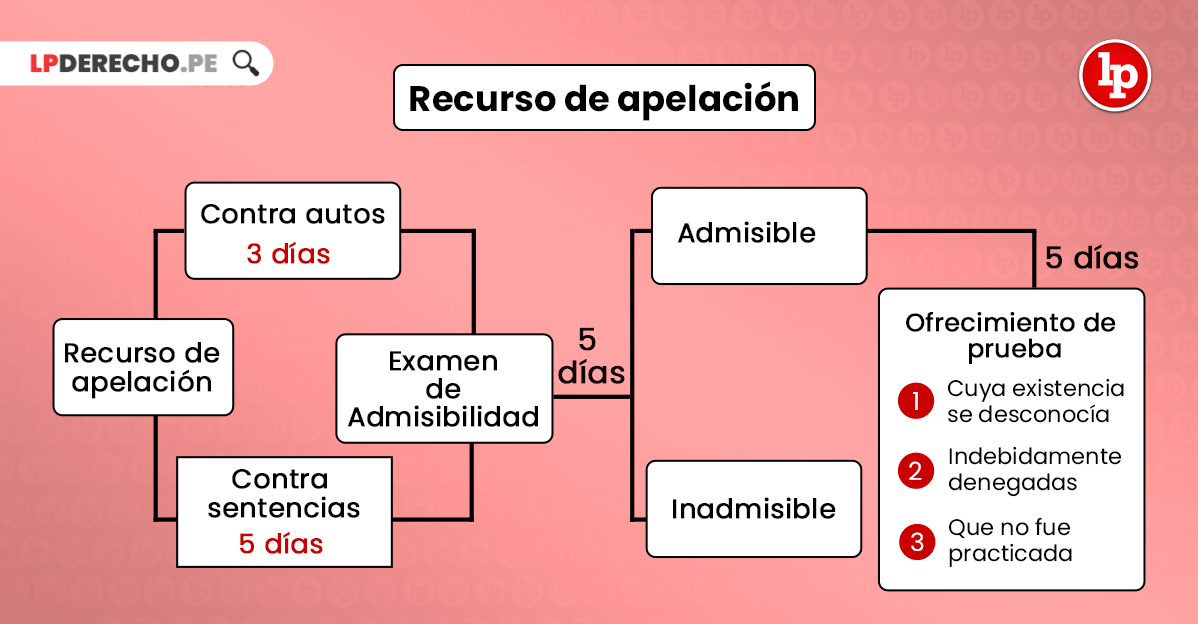 Cuál es el plazo para presentar una apelación en Argentina